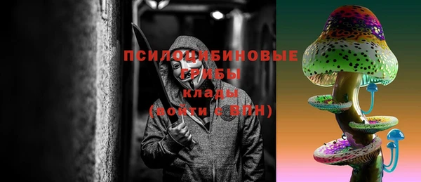 бошки Покачи