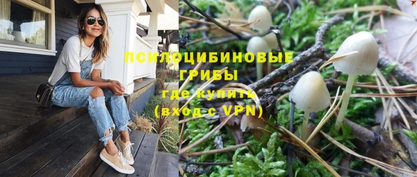 соль ск Покровск