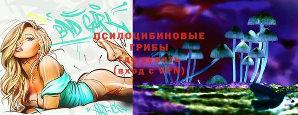 соль ск Покровск