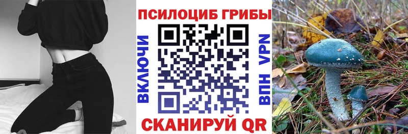 Купить где  Слободской  Галлюциногенные грибы ЛСД 